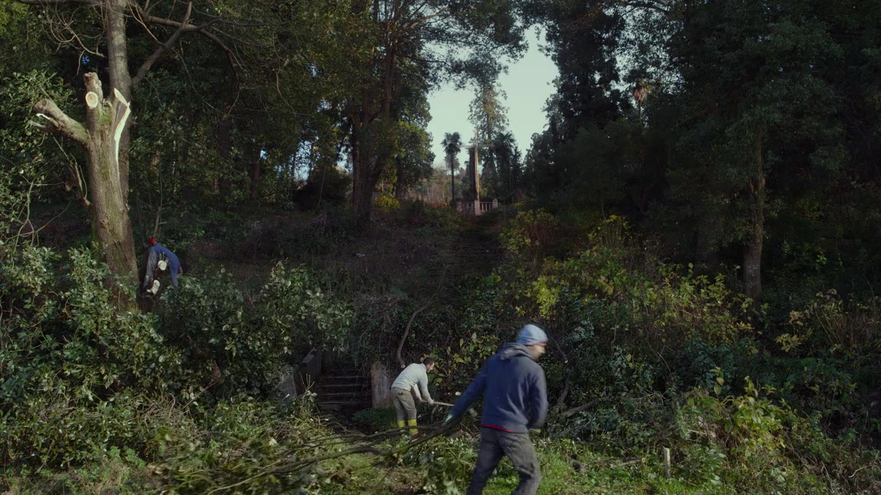 Taming the Garden screenshot 2
