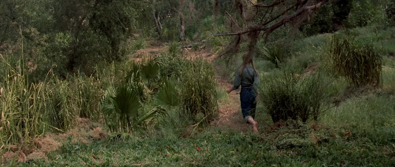 Tammy and the Bachelor screenshot 2