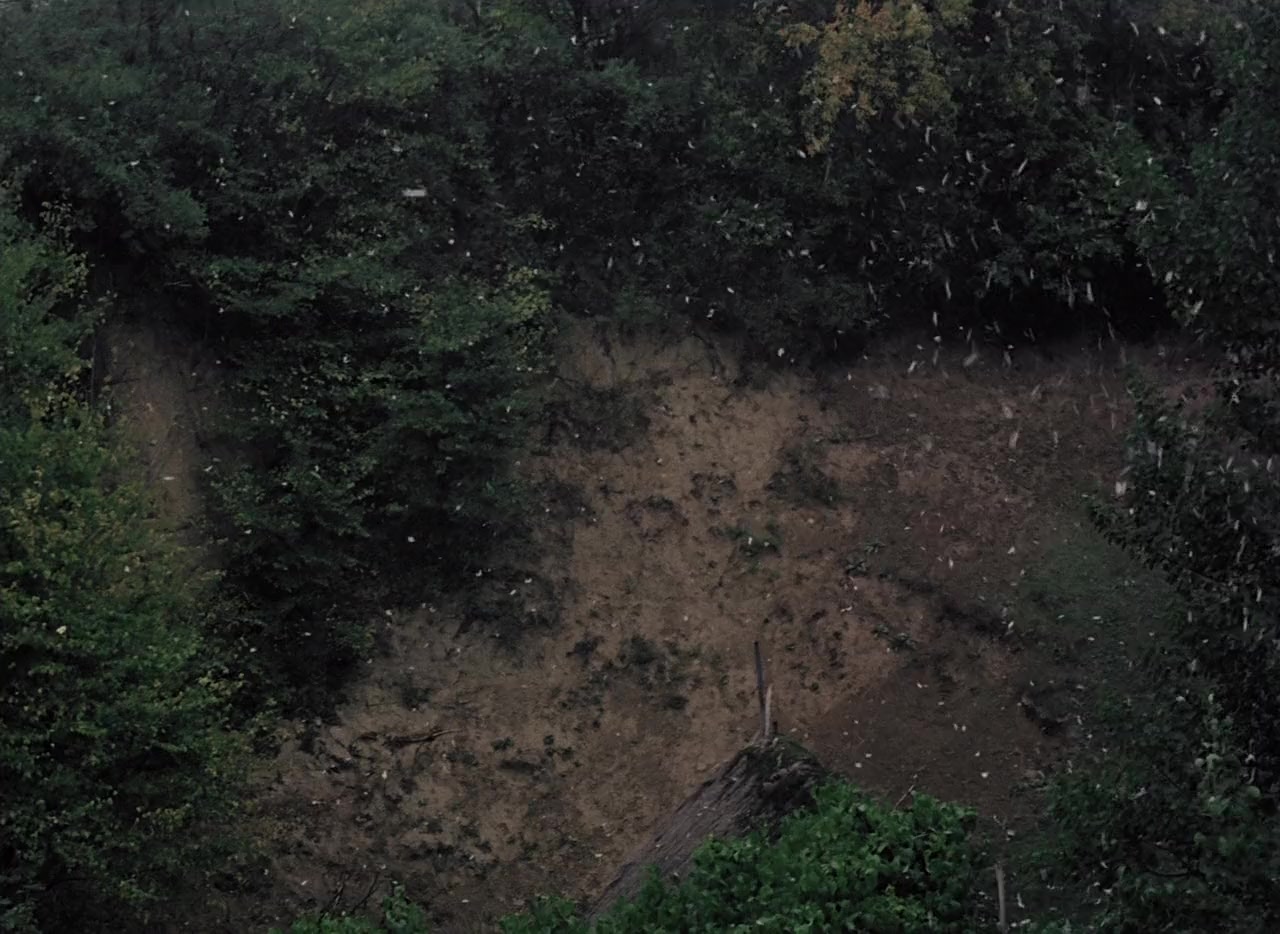 Tanczacy jastrzab screenshot 1