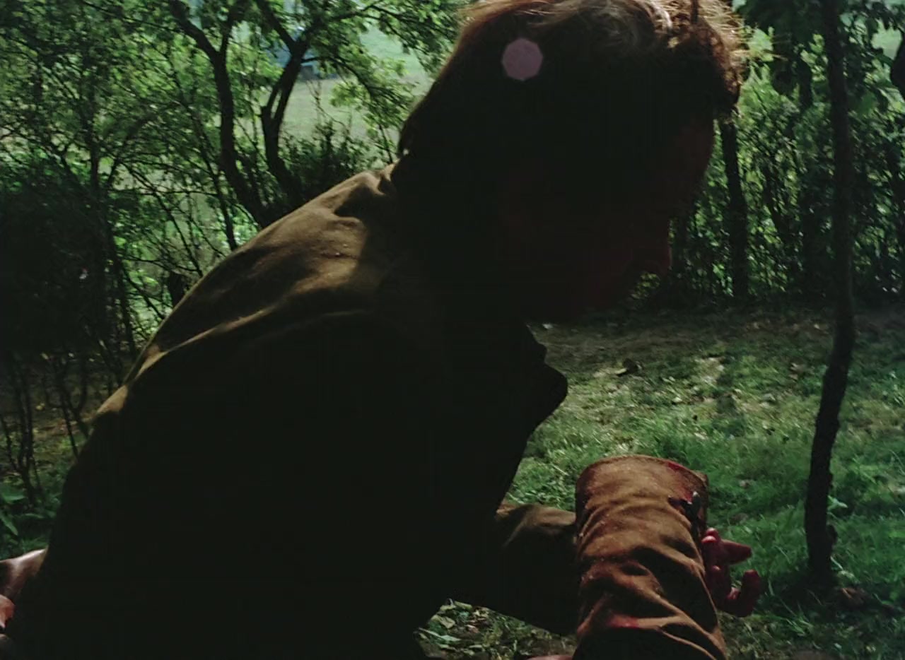 Tanczacy jastrzab screenshot 2