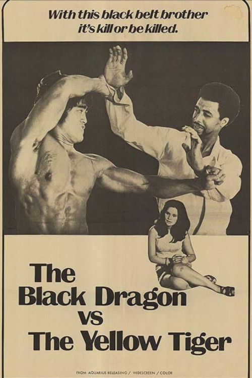 Tang shan hu wei jian sha shou (1974) poster
