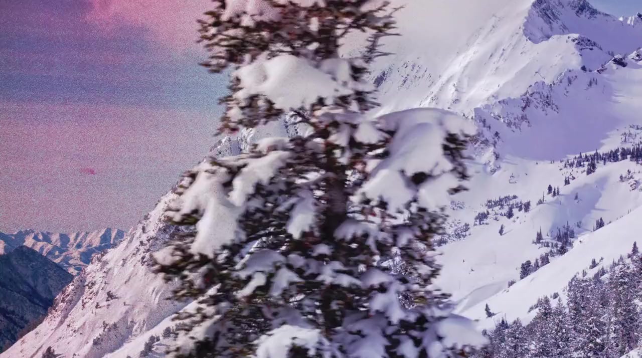Tanner Hall Forever screenshot 1