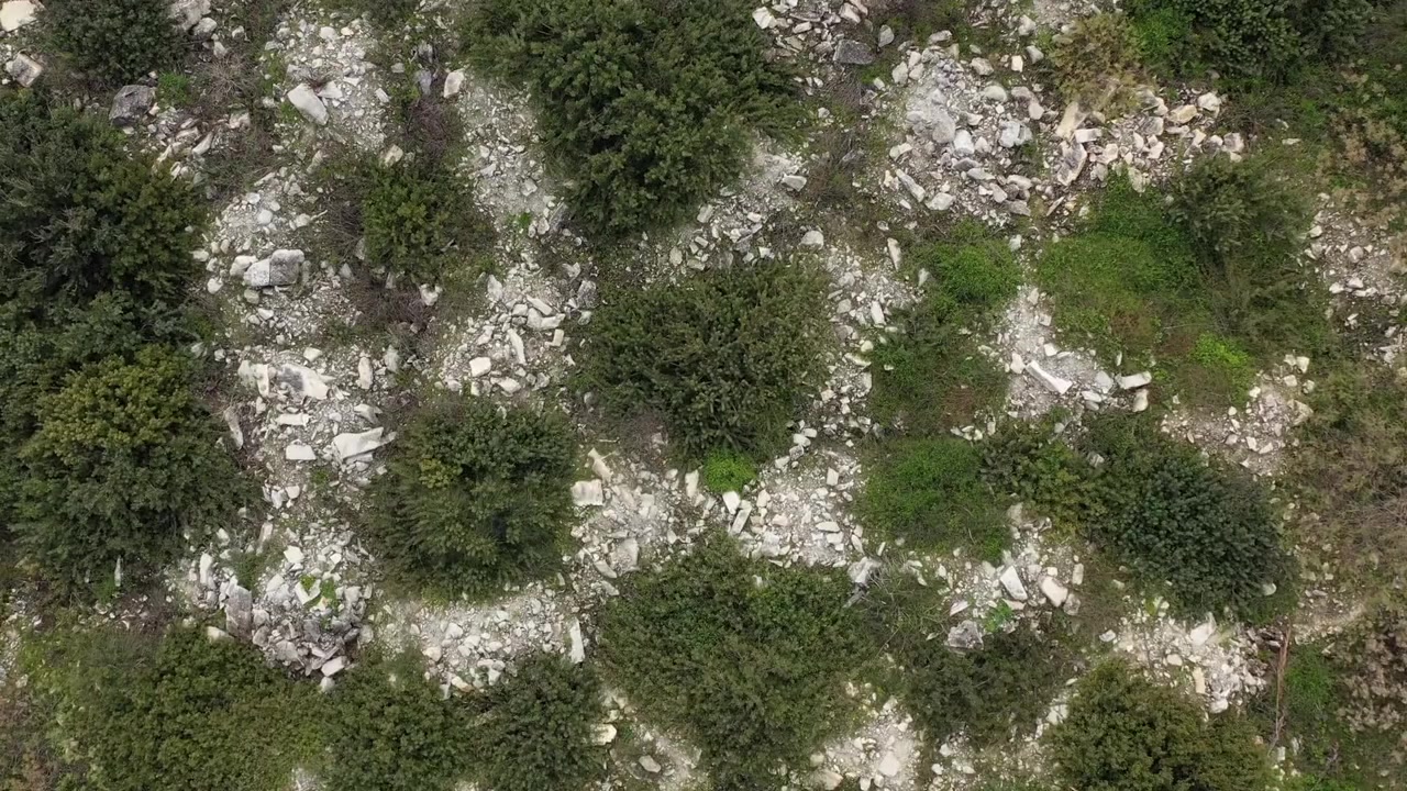 Tantura screenshot 1