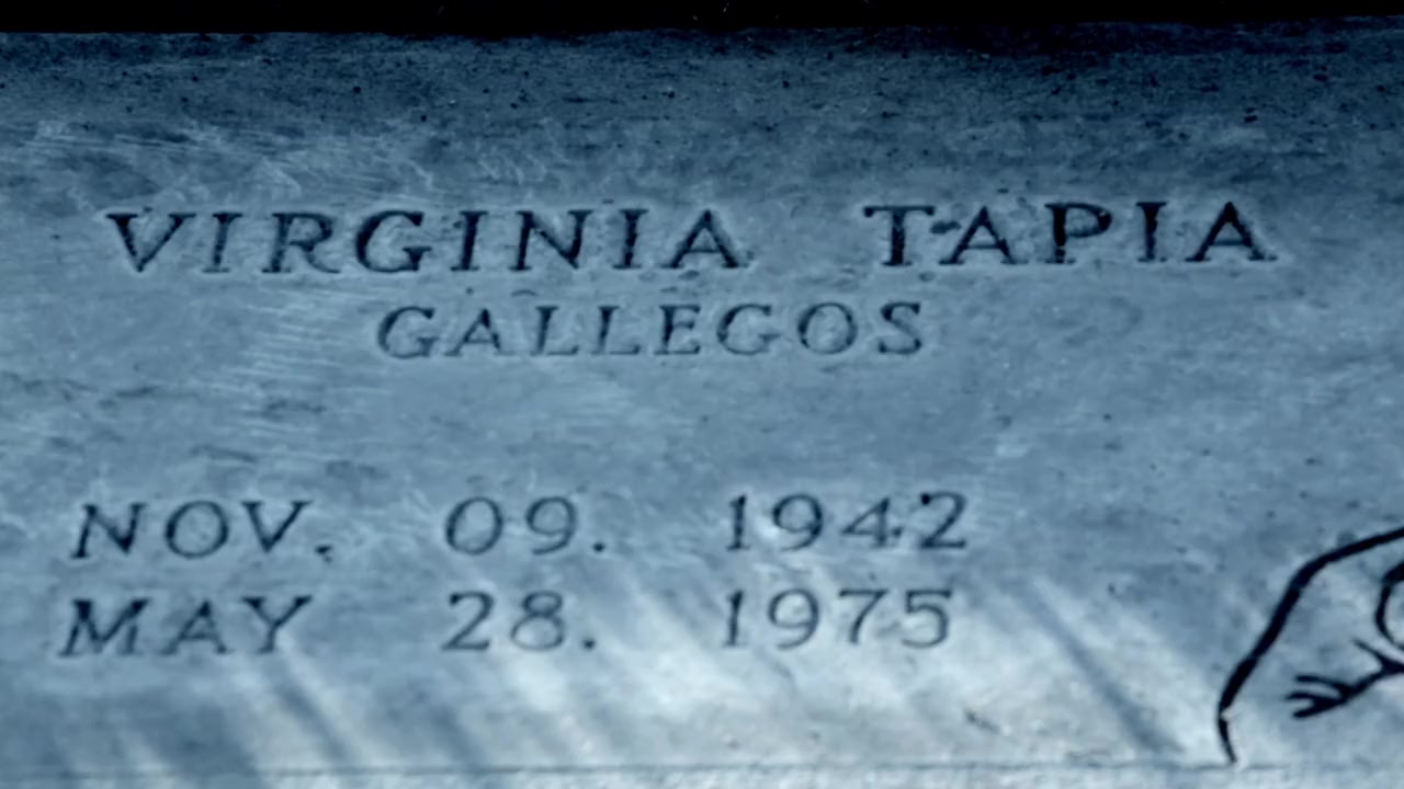 Tapia screenshot 2