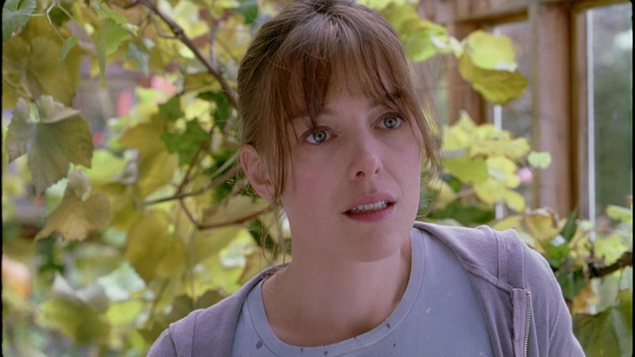 Tara Road screenshot 3