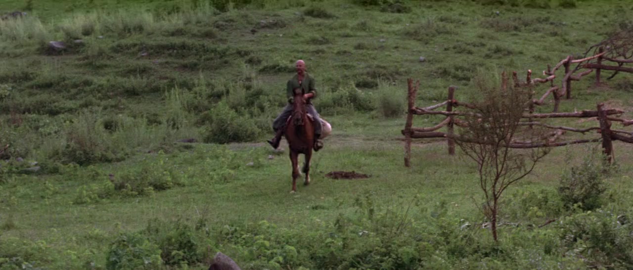 Taras Bulba screenshot 3