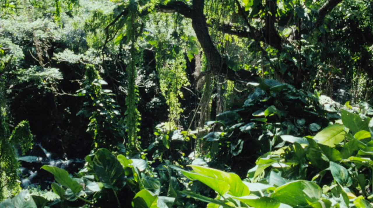 Tarzan in Manhattan screenshot 1