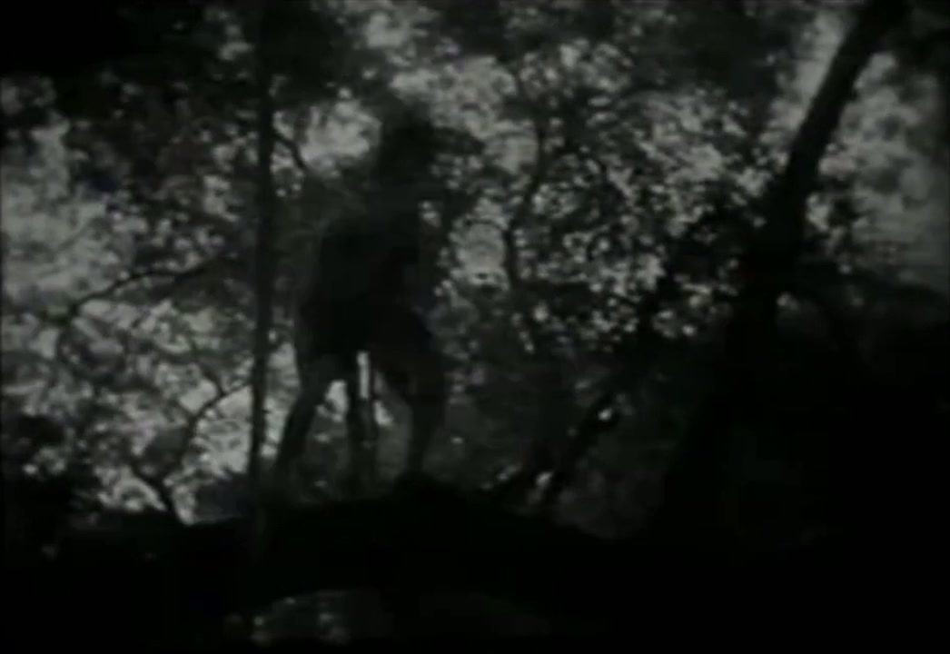Tarzan the Tiger screenshot 3