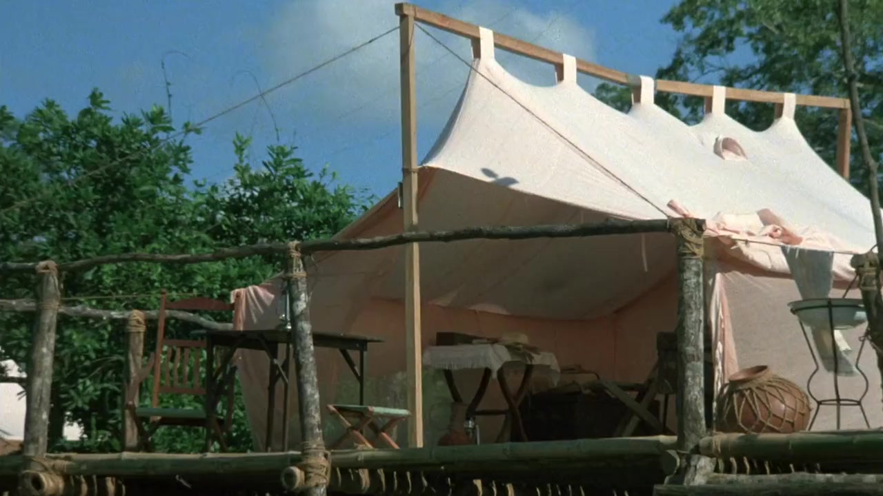 Tarzan the Ape Man screenshot 1