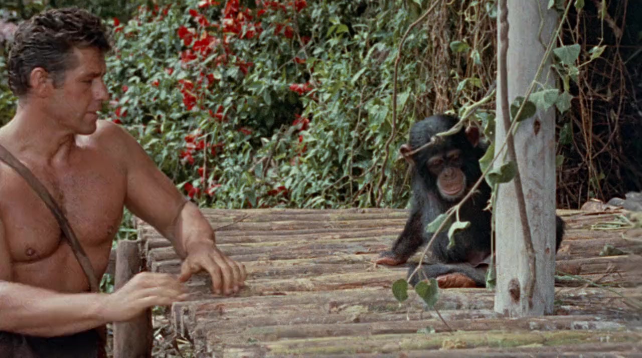 Tarzan's Greatest Adventure screenshot 1