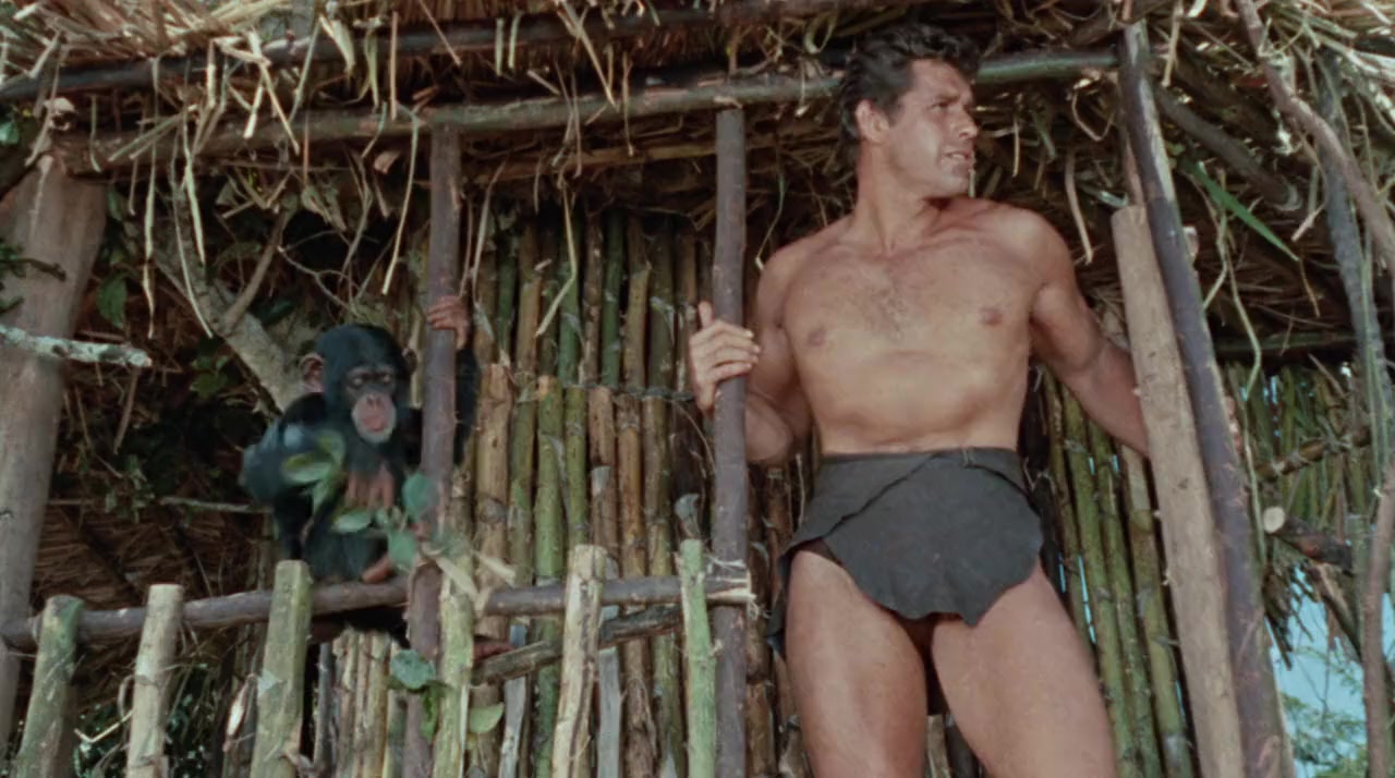 Tarzan's Greatest Adventure screenshot 3