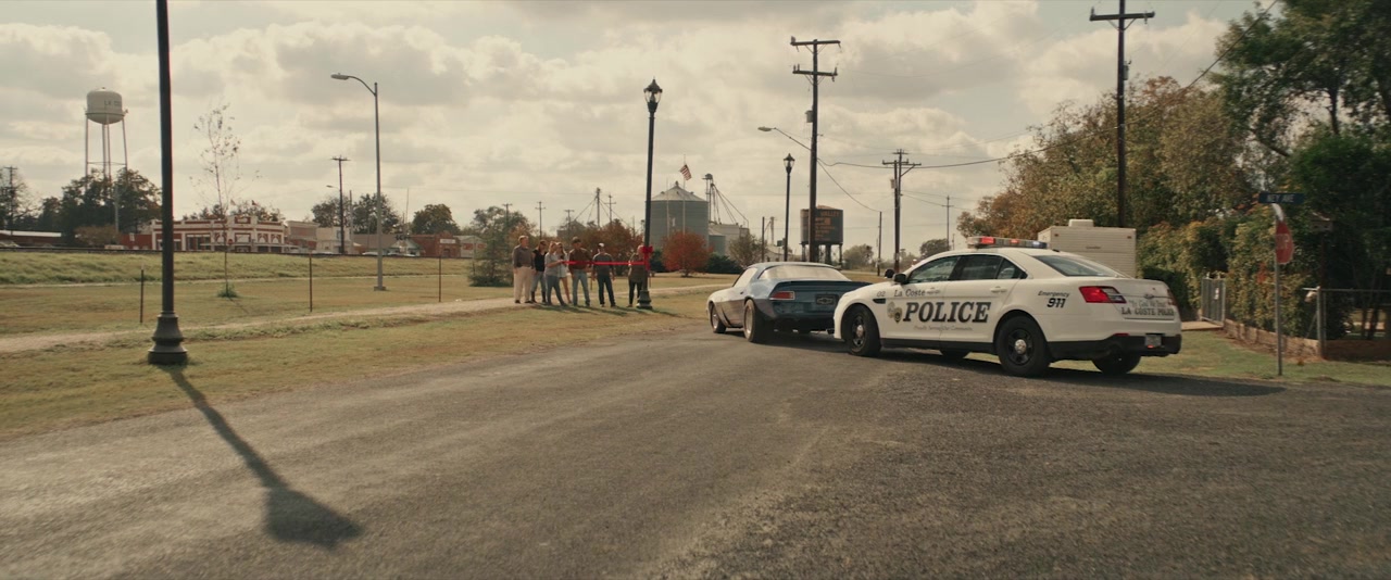 Texas Cotton screenshot 2