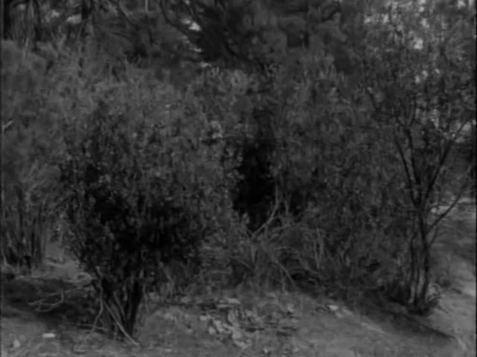 Texas Terror screenshot 1