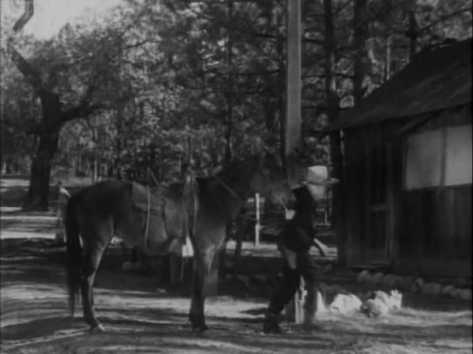 Texas Terror screenshot 3