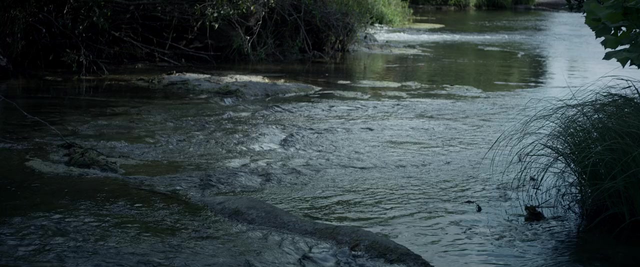 Te Ata screenshot 2