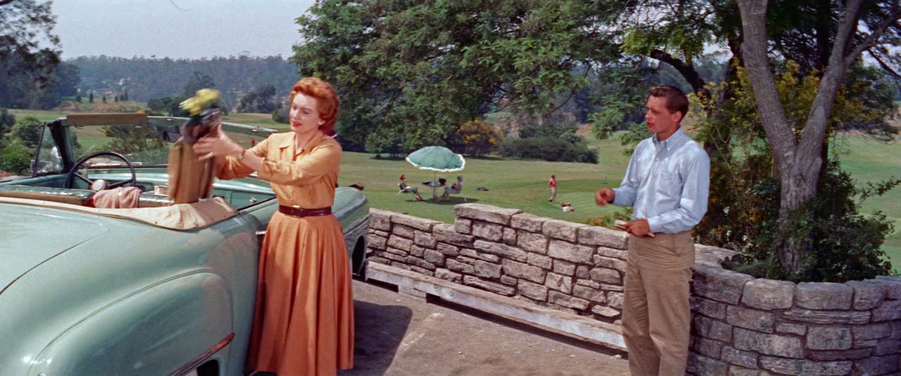 Tea and Sympathy screenshot 2
