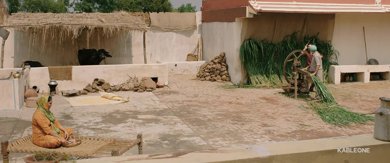 Television screenshot 3