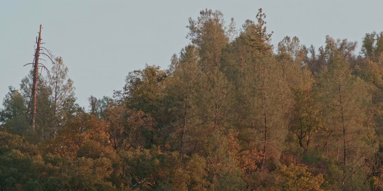 Teller's Camp screenshot 2