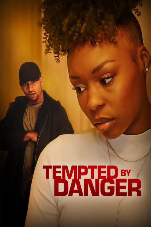 The Set Up (2020) poster