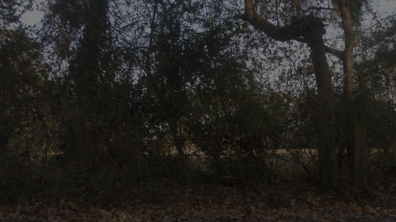 Ten Doors screenshot 2