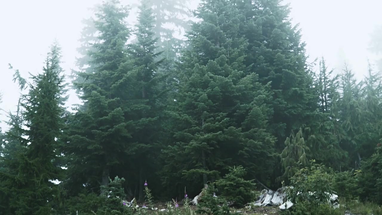 Ten Dollar Death Trip screenshot 1