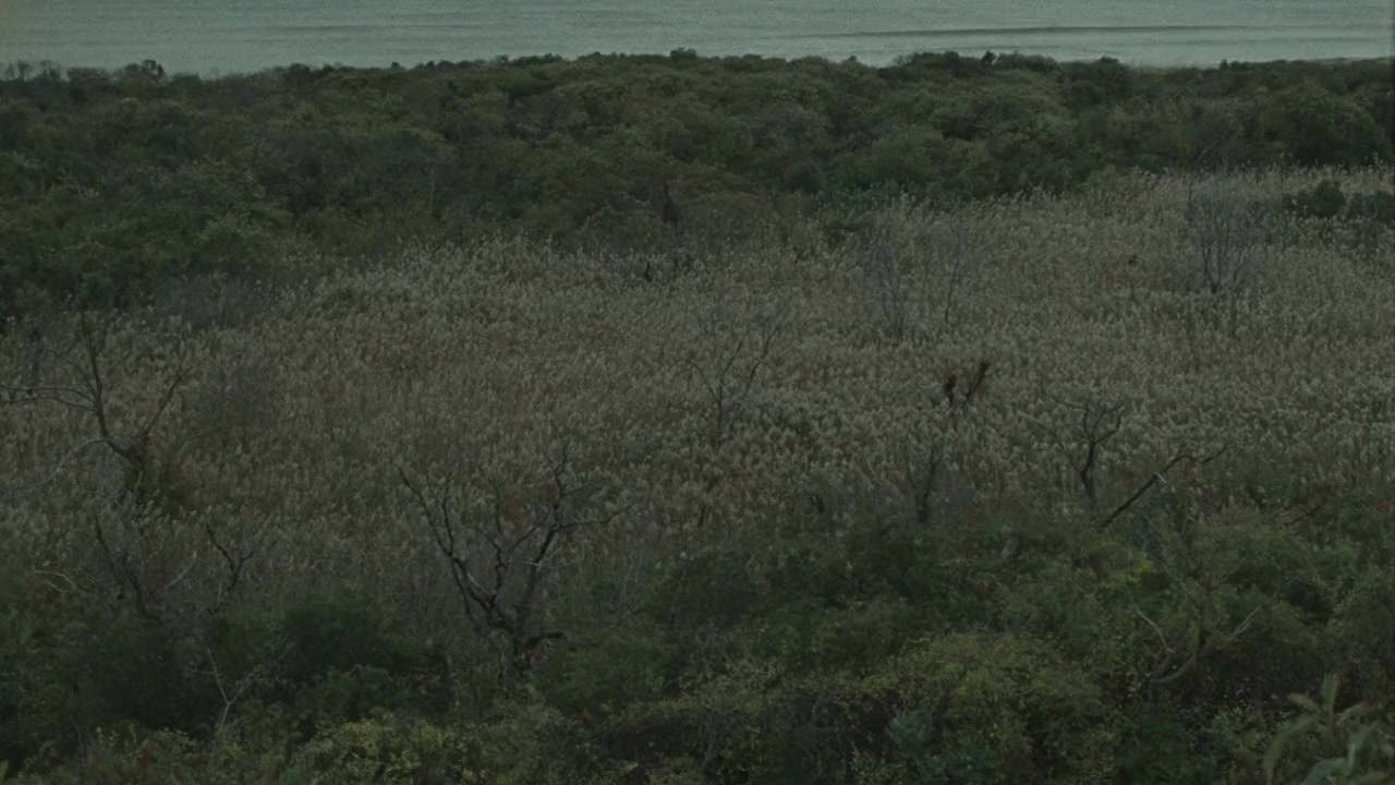 Tendaberry screenshot 1