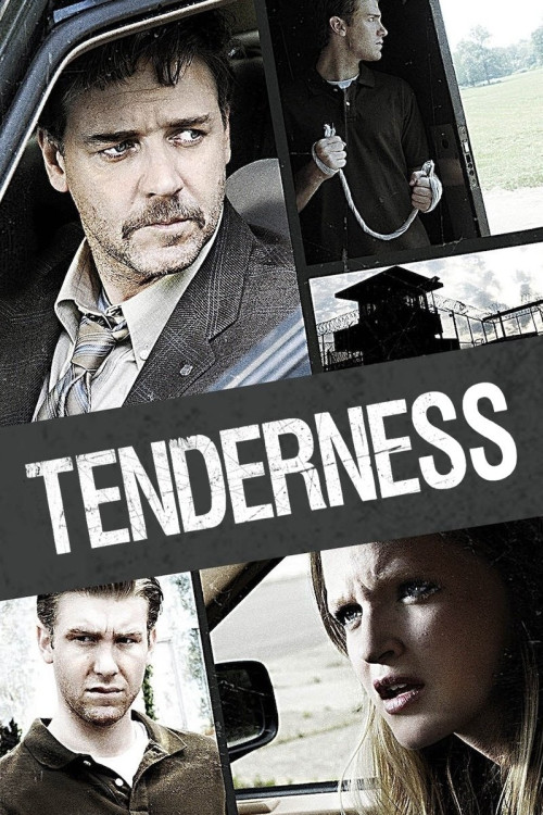 Tenderness (2009) poster
