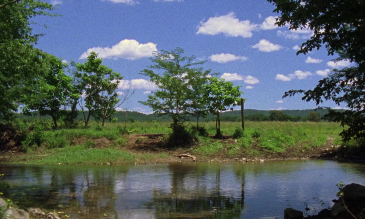 Tennessee Gothic screenshot 1