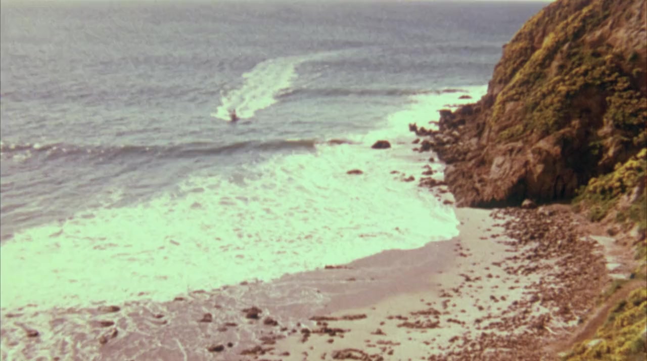 Terminal Island screenshot 3