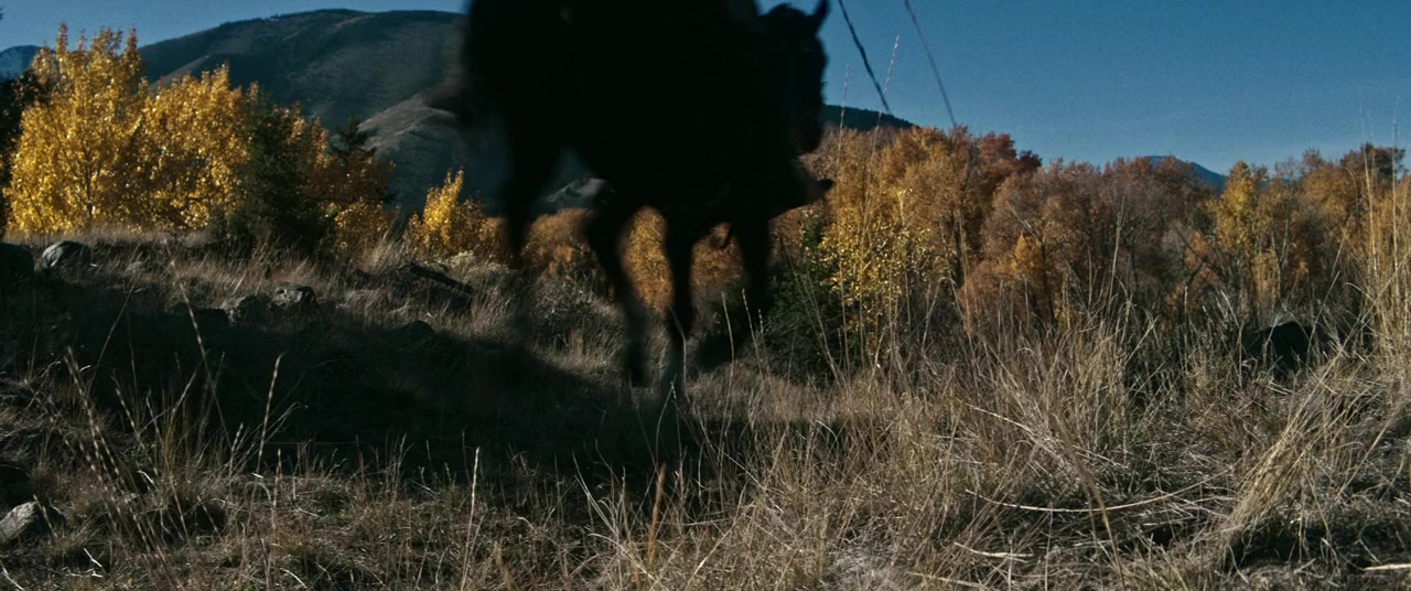 Terror on the Prairie screenshot 1