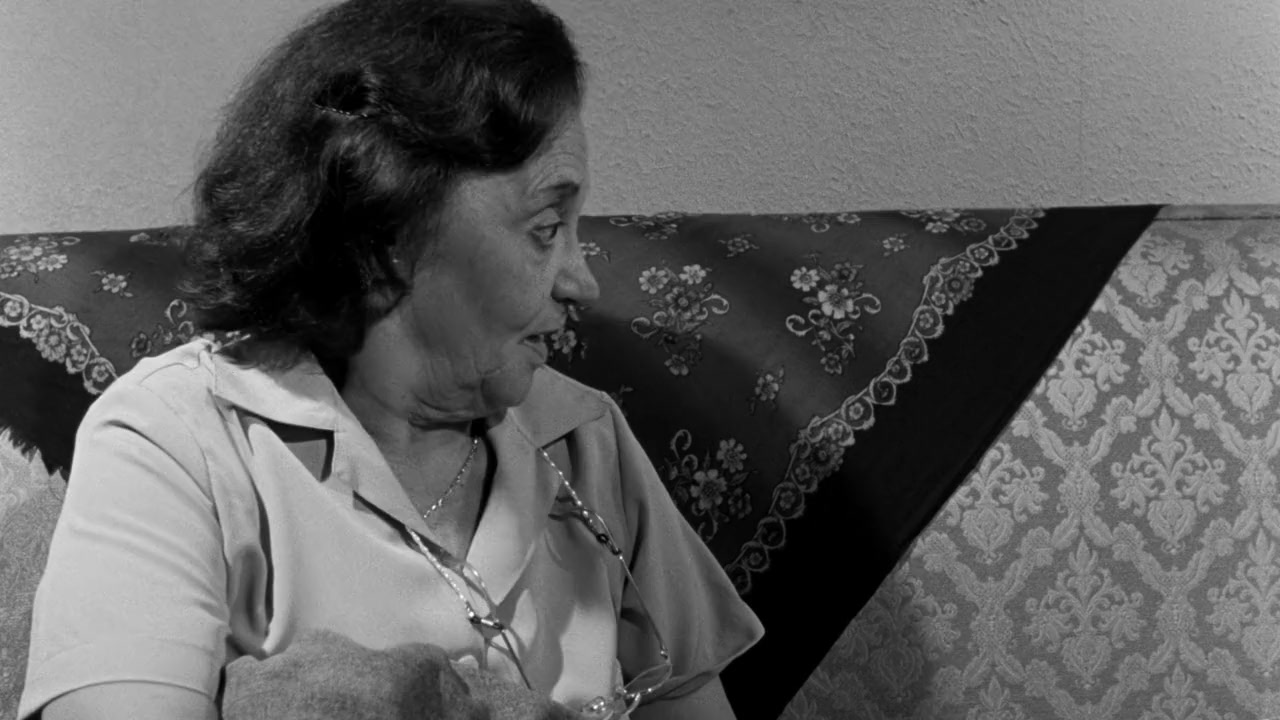 Terra Estrangeira screenshot 2