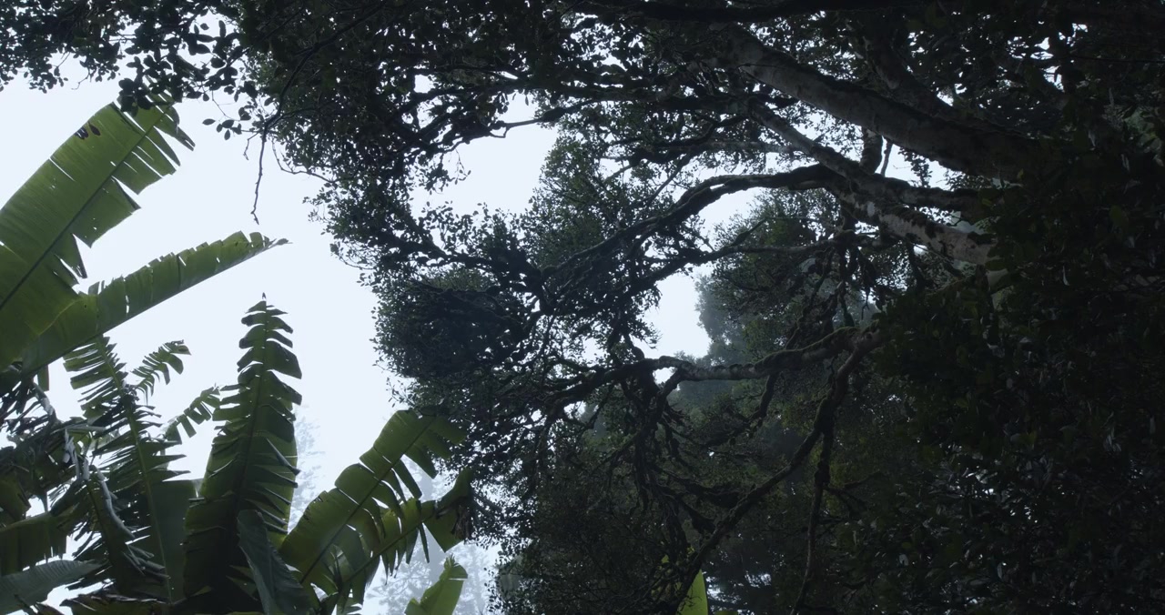 TerraForma screenshot 1