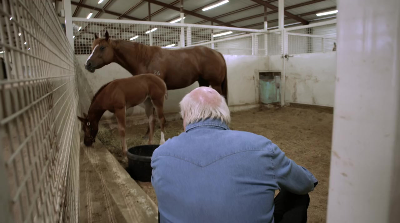 Terry Bradshaw: Going Deep screenshot 3