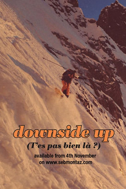 T'es pa bien là? (2013) poster