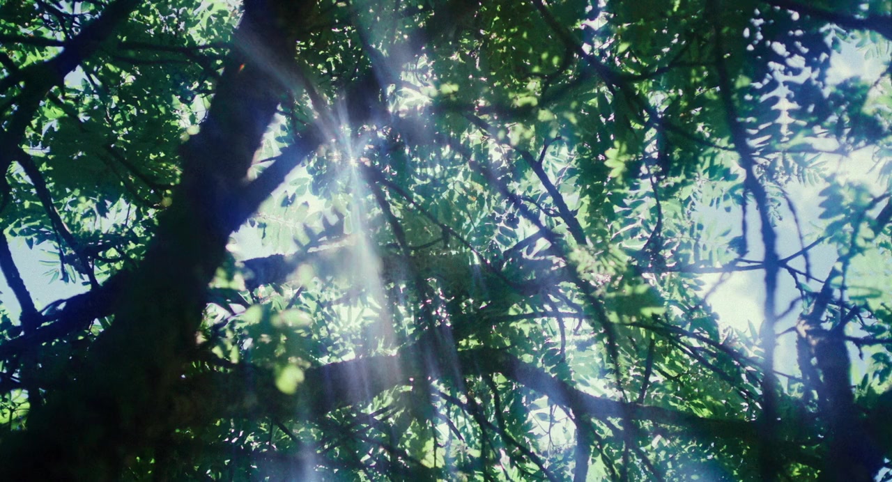 Foudre screenshot 2