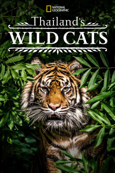 Thailand's Wild Cats (2021) poster