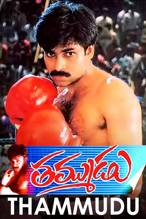 Thammudu (1999) poster