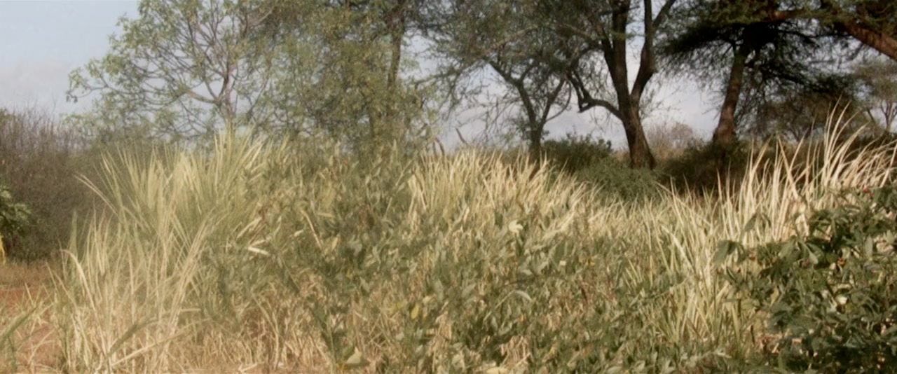 Thank You for the Rain screenshot 2