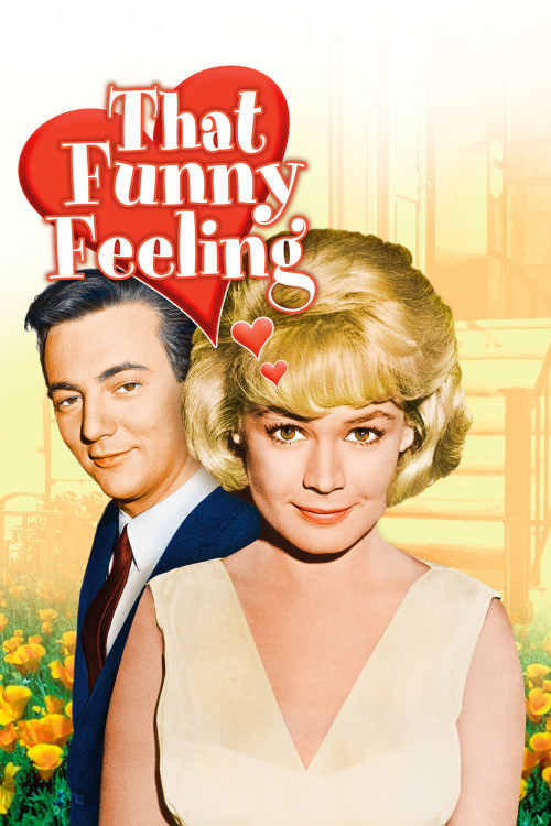That Funny Feeling (1965) poster