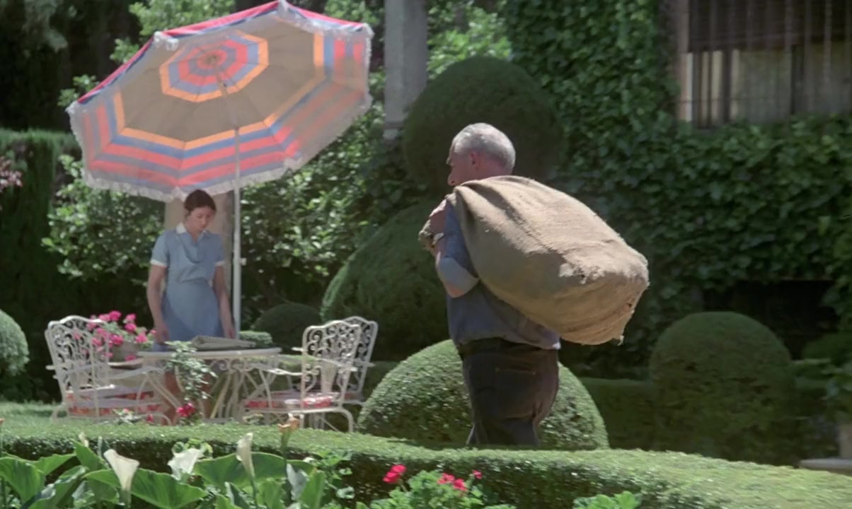 Cet obscur objet du désir screenshot 2