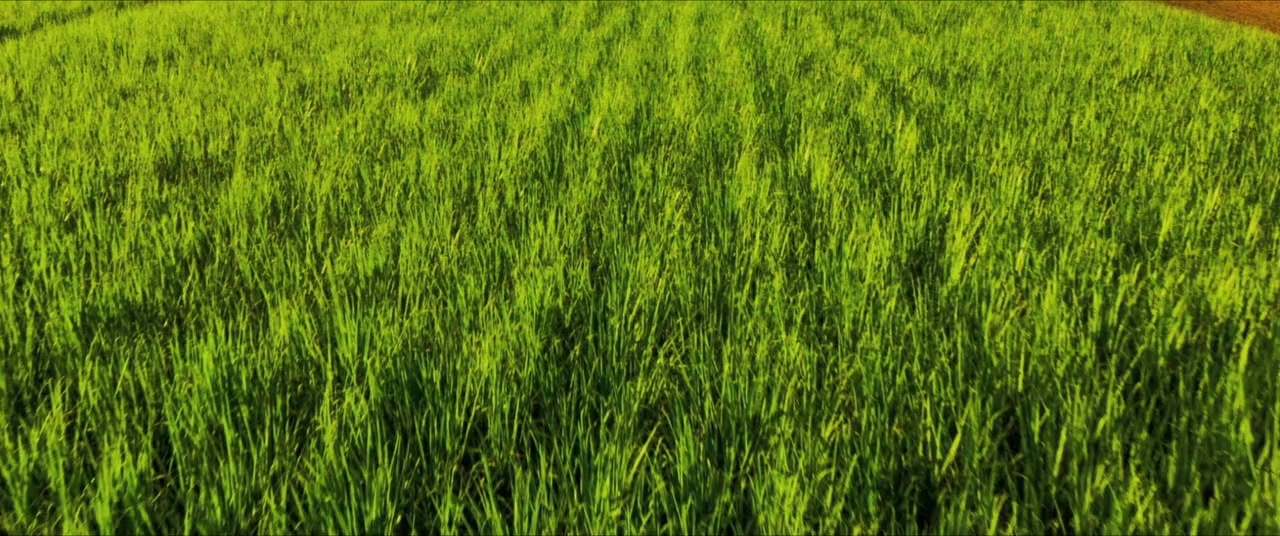 That Sugar Film screenshot 1