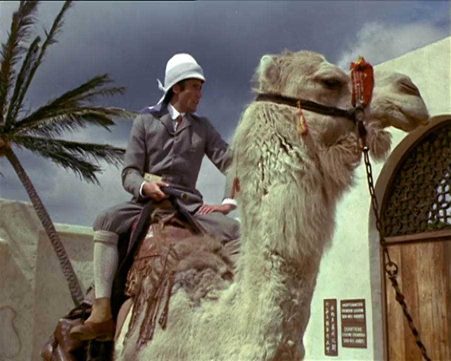 That's Carry On screenshot 2