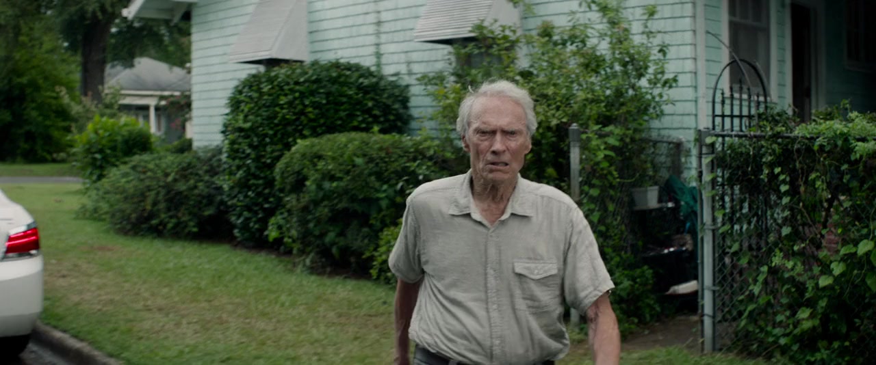 The Mule screenshot 3