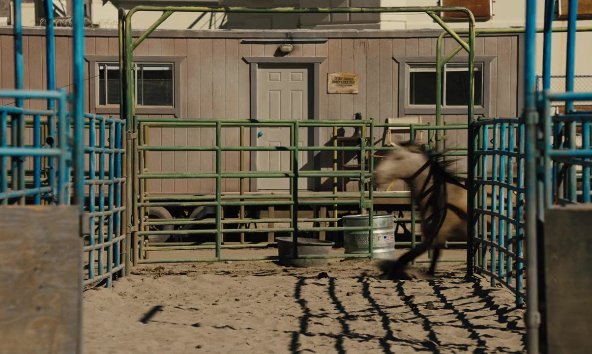 The Mustang screenshot 2