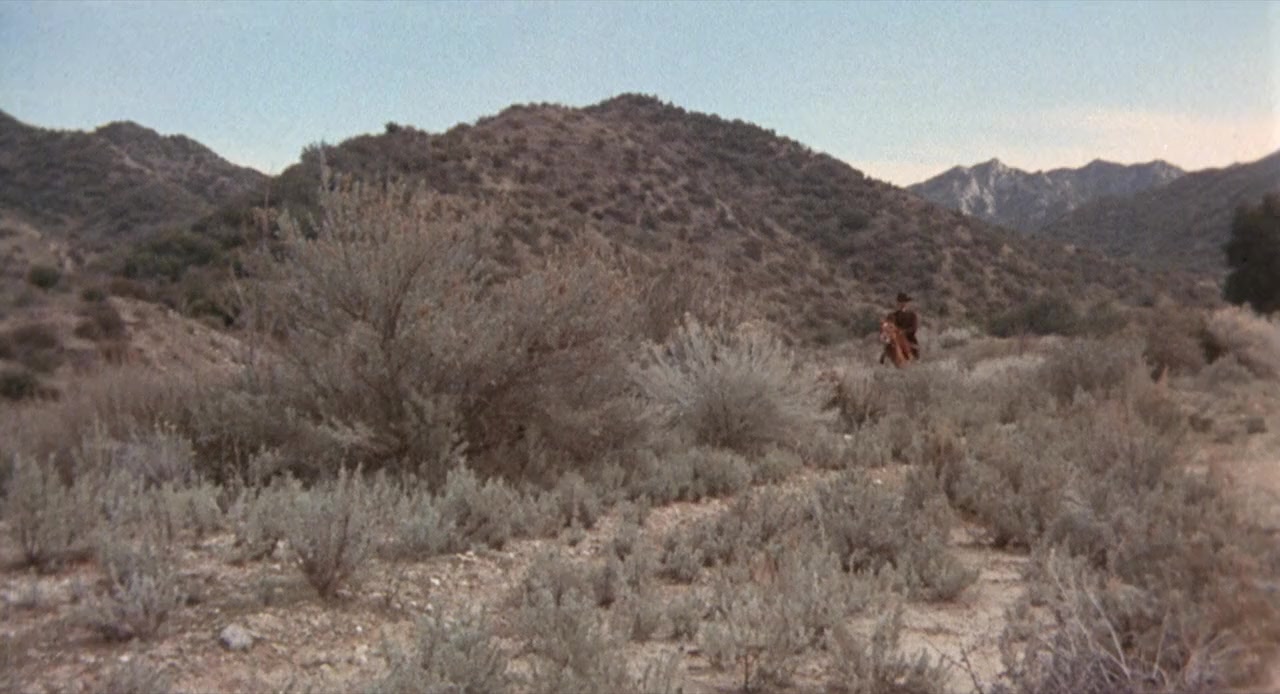 The Magnificent Seven Ride! screenshot 2