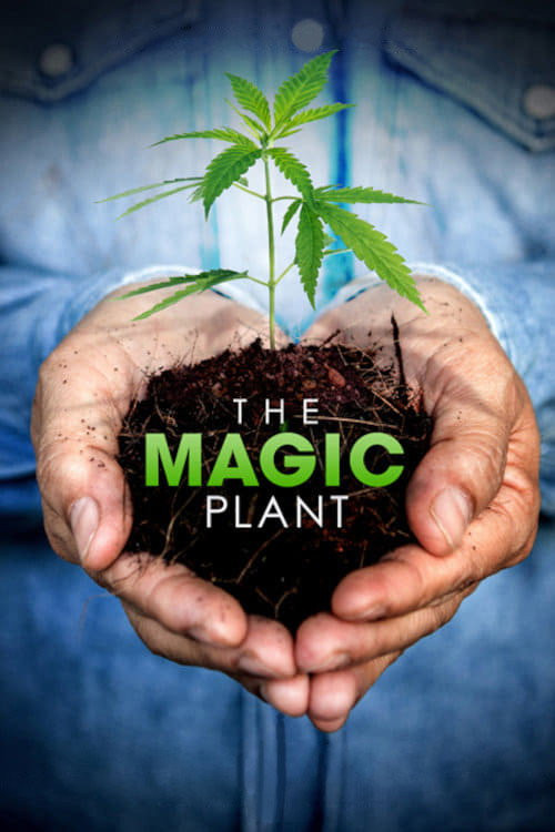 The Magic Plant (2020) poster