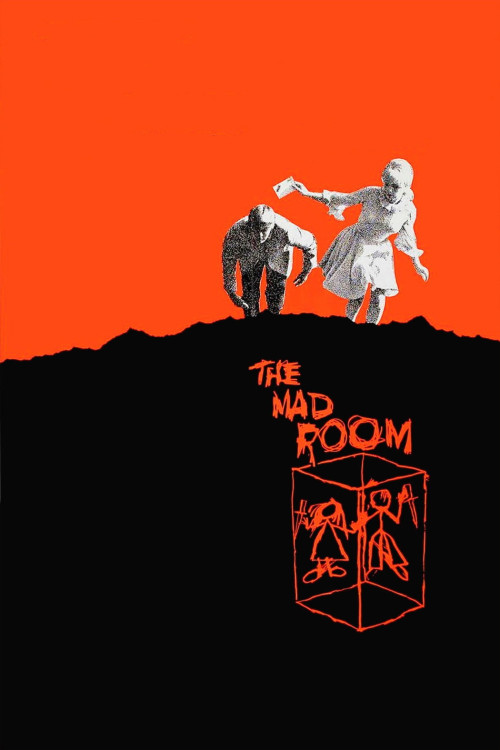The Mad Room (1969) poster