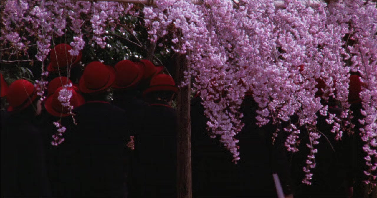 Sasameyuki screenshot 1