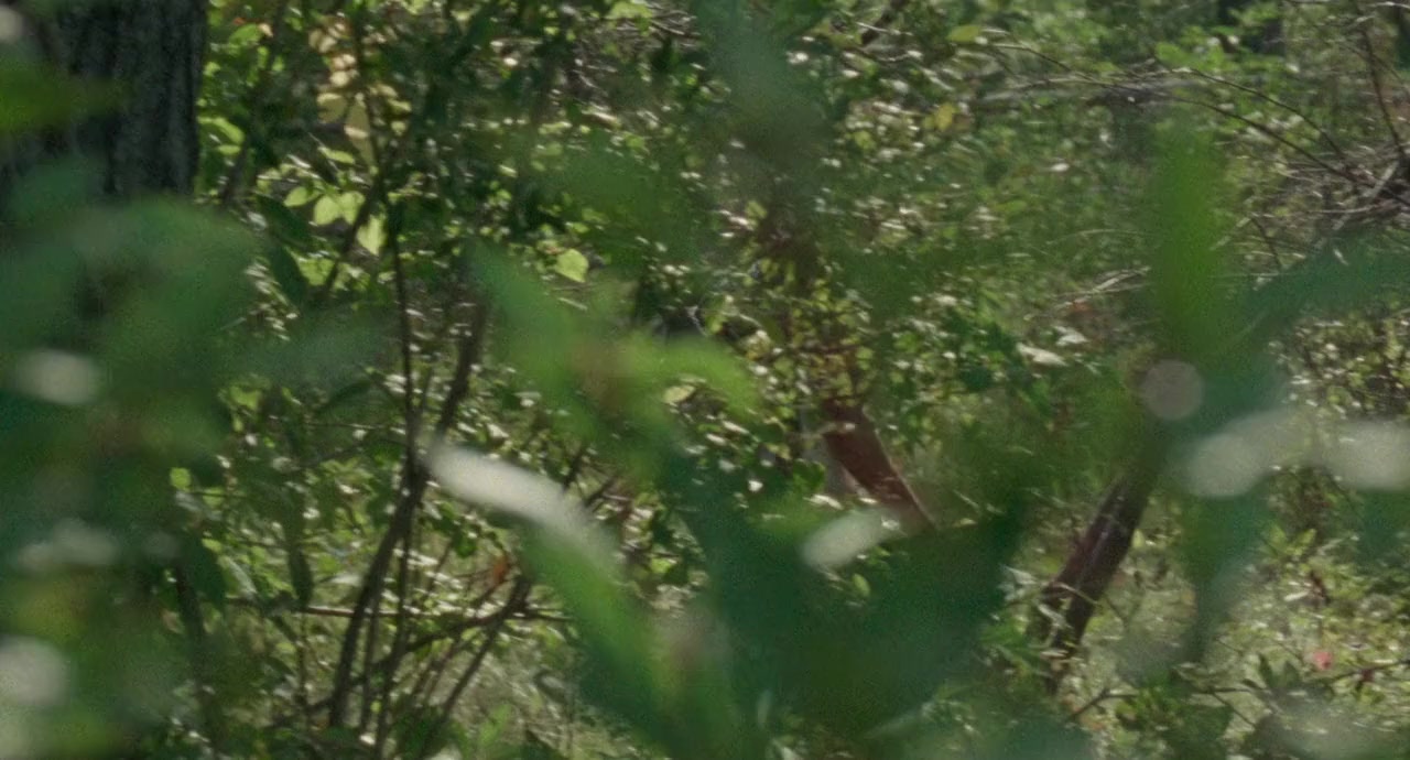 The Maiden screenshot 2
