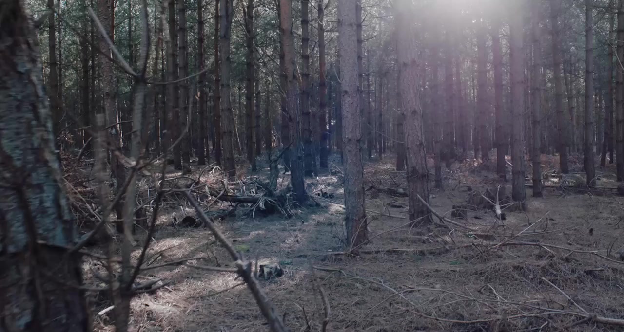 The Male Gaze: The Boy Is Mine screenshot 1